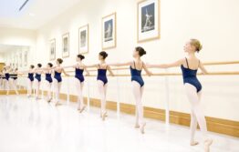 Uk scholars programme