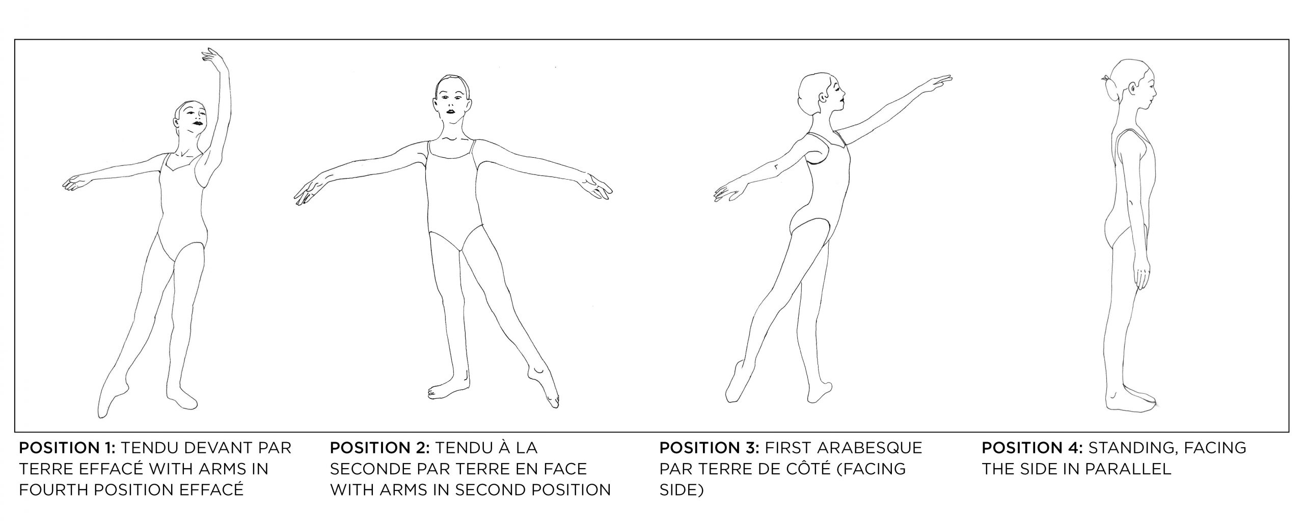 Photograph requirements