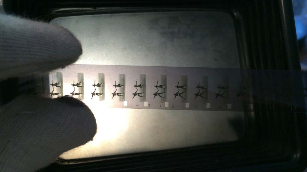 An image of negative film being held over light showing images of dancers