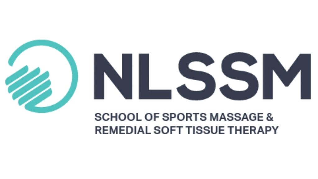 The nlssm logo