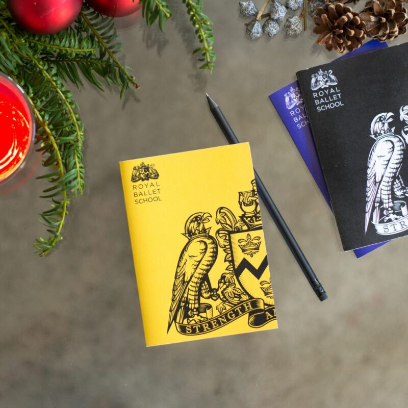 Triple notebook pack