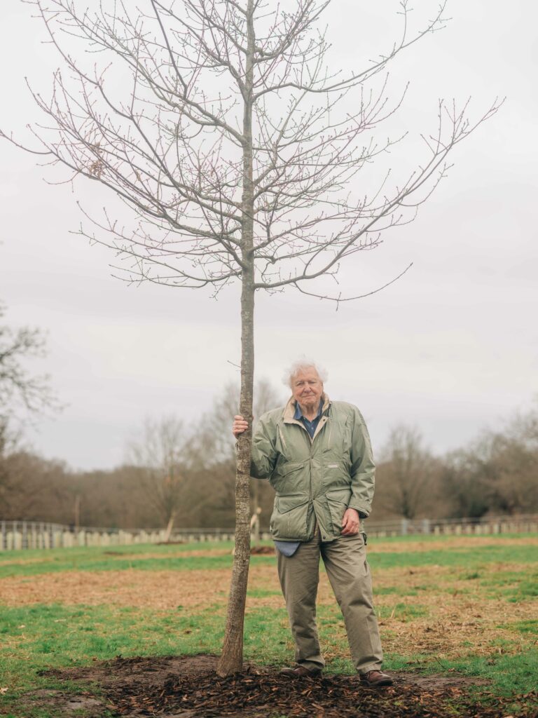 An environmental legacy — celebrating a new woodland for the queen's green canopy initiative