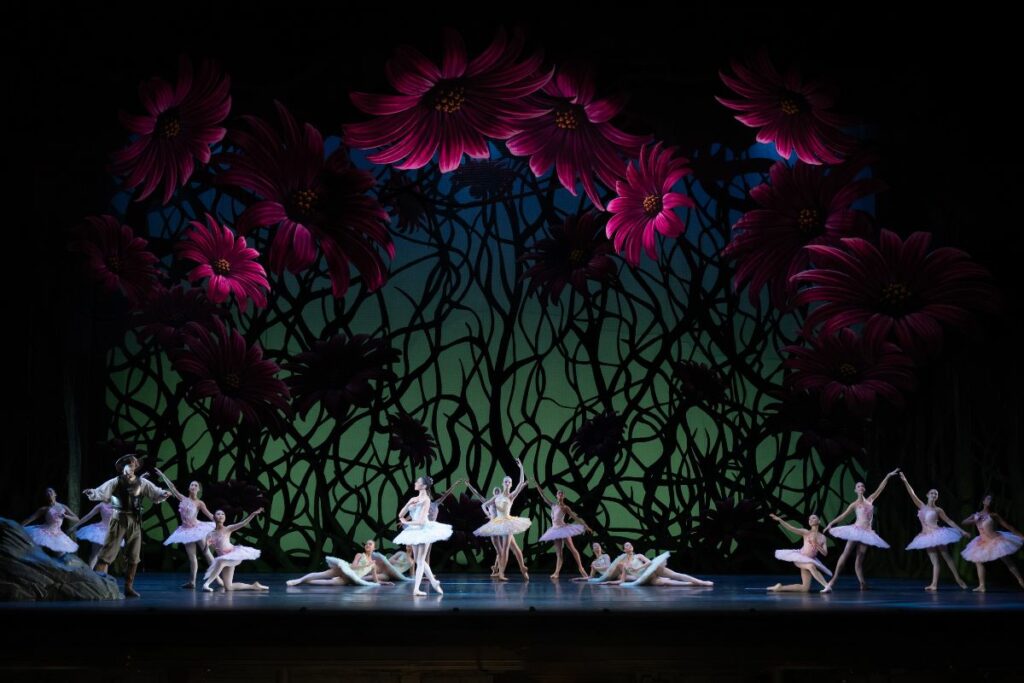 Celebrating our 2023 summer performances