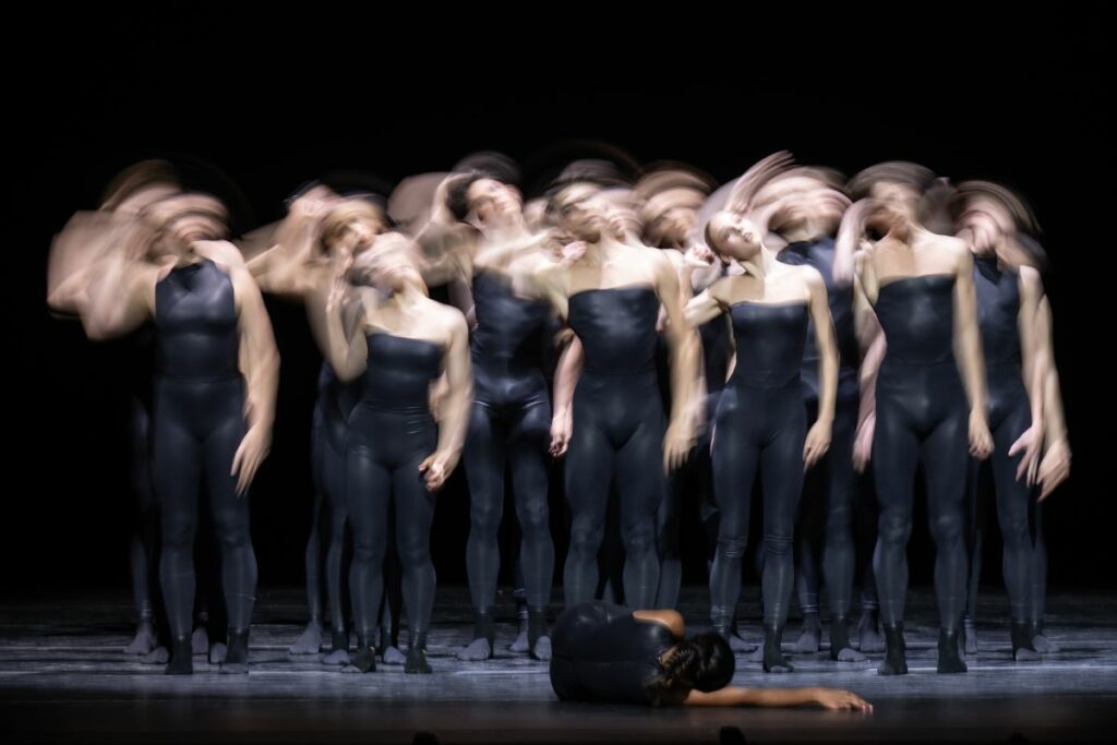 Celebrating our 2023 summer performances