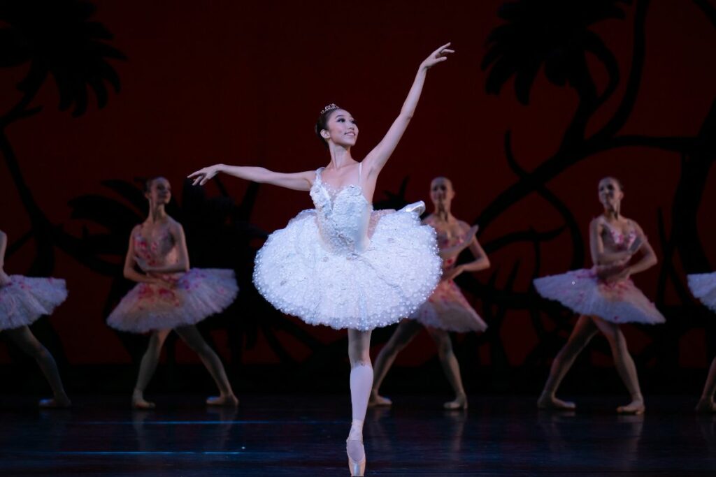 Celebrating our 2023 summer performances