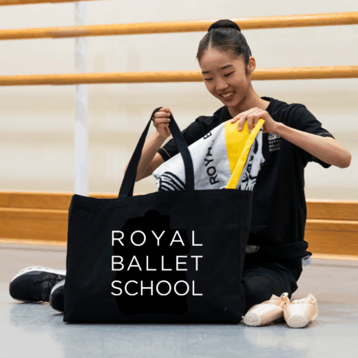 Super shopper bag