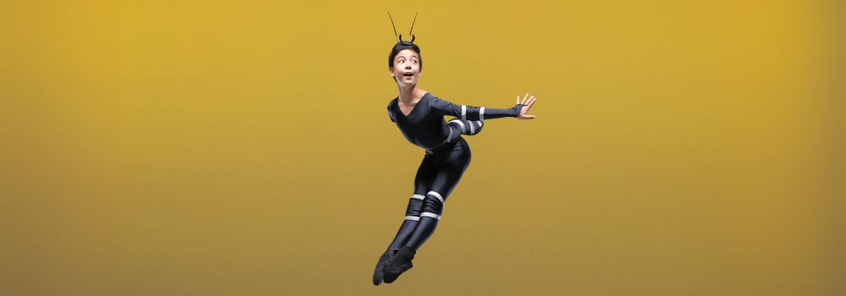 Summer performances